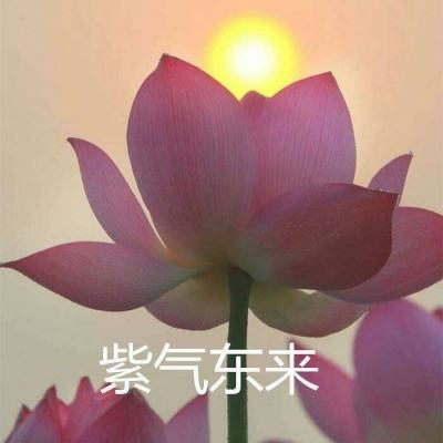 九游女神新纪元下载
